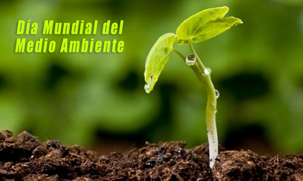 medioambiente-2019-(1)