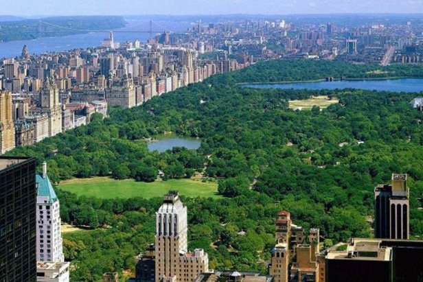 central_park_new_york