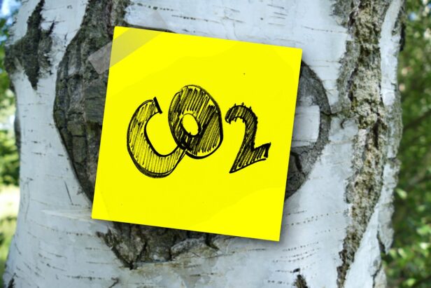 CO2-FREE-Imagen de Gerd Altmann en Pixabay